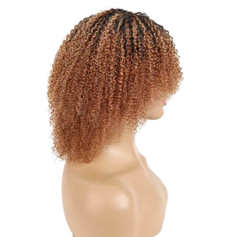 Peruaans haar Afro Kinky Curly - Short Pixie Cut Wig Human Hair Cheap recensie en prijs